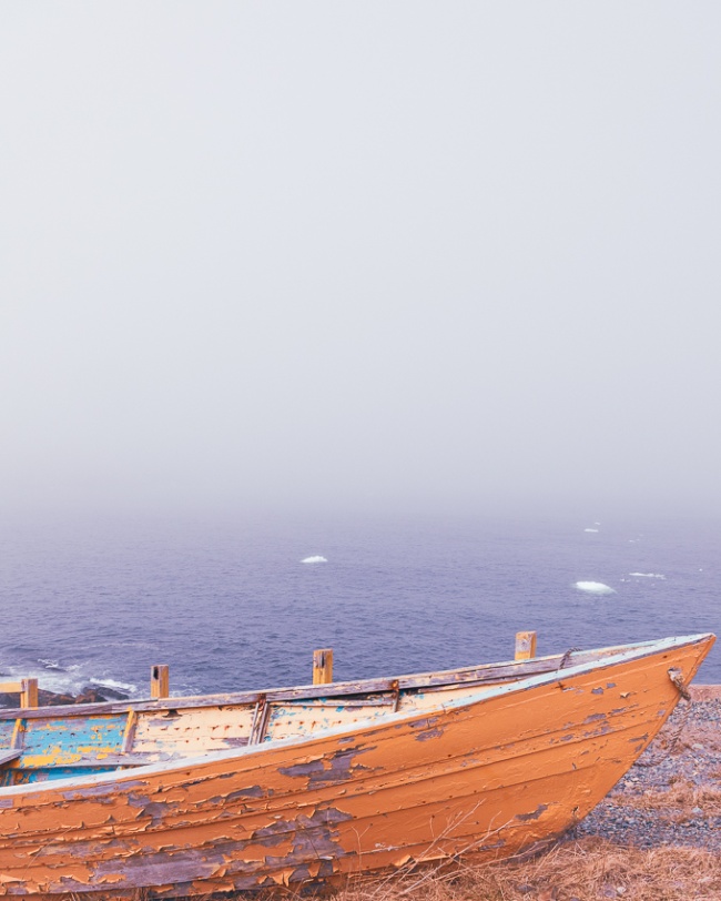 The Art of Fine Art Photography: What Makes a Print Gallery-Worthy